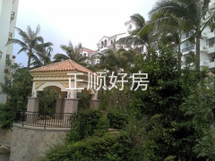 实景图