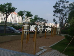 实景图
