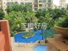 实景图