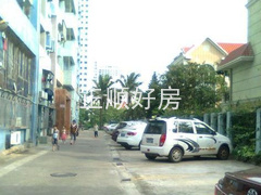 实景图