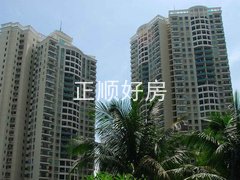 实景图