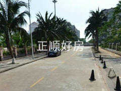 实景图