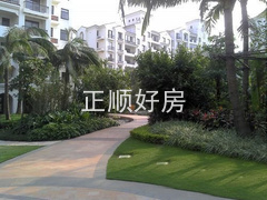 实景图