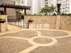 实景图