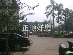 实景图