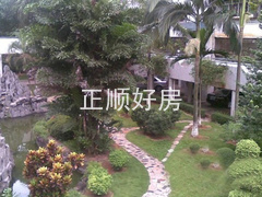 实景图