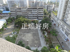 实景图