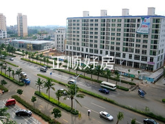 实景图