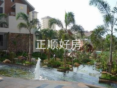 实景图