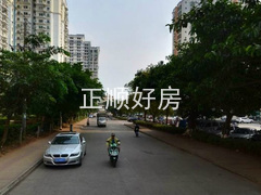 实景图