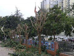 小区图