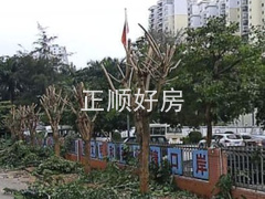 小区图