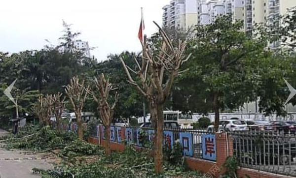 小区图