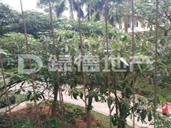 小区图