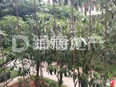小区图