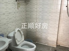 室内图
