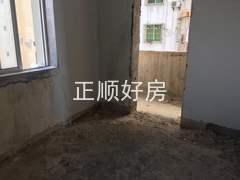 室内图
