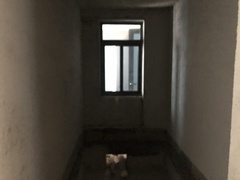 室内图