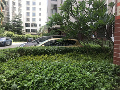 小区图