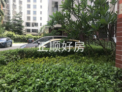小区图