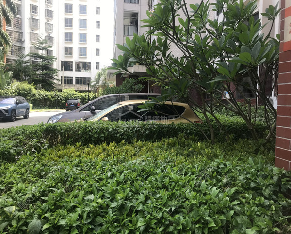 小区图
