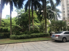 小区图