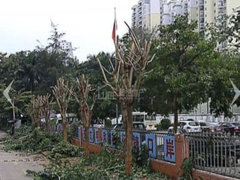 小区图