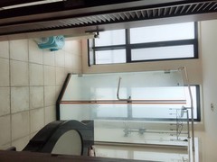 室内图