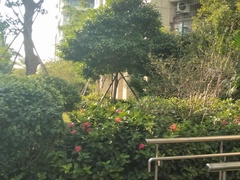 小区图