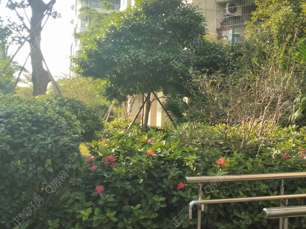 小区图