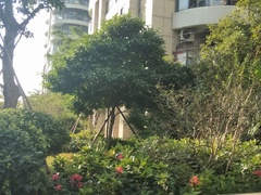 小区图