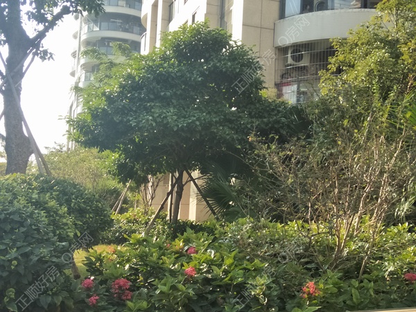 小区图