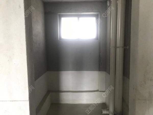 客厅5