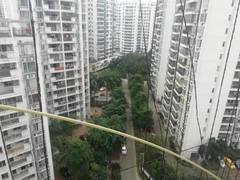 小区图