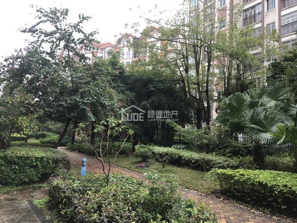 小区图