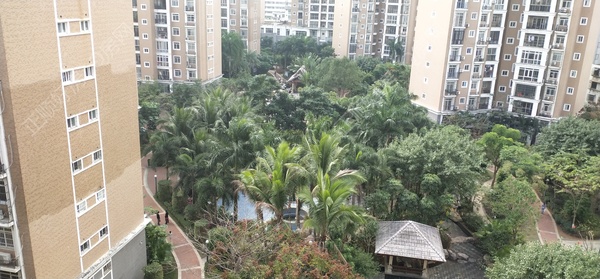 小区图
