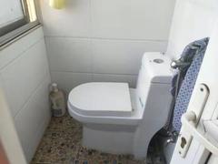 室内图