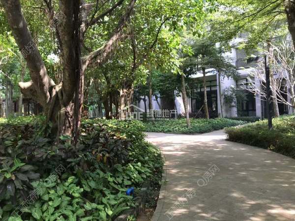 小区图