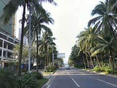 小区图