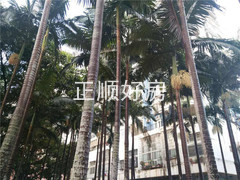 小区图