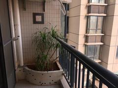 室内图