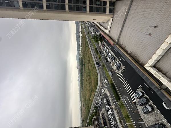 IMG_1294
