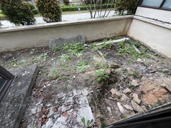 IMG_5265