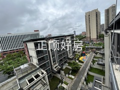 IMG_6605