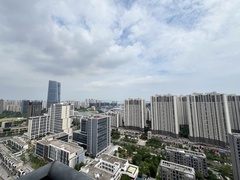 IMG_2567