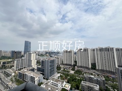 IMG_2567