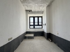 IMG_8729