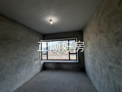 IMG_4220