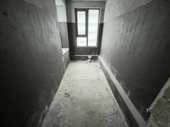 IMG_5273