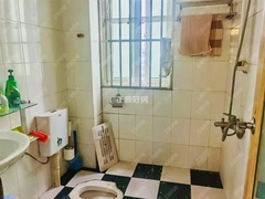 81713477918